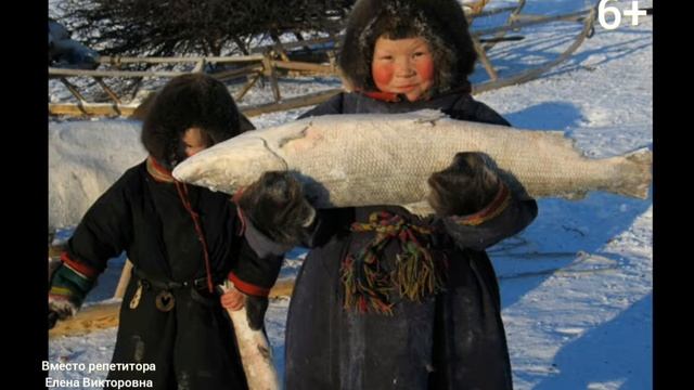 Северный полярный круг. Зимняя сказка?