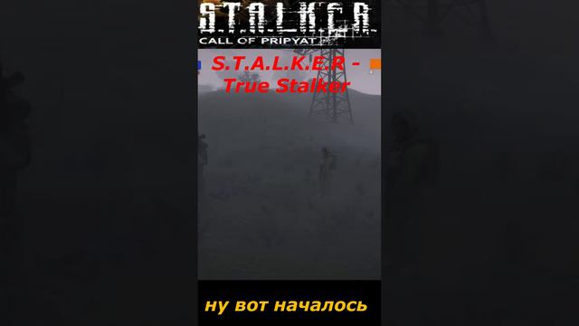 #shorts #S.T.A.L.K.E.R #НАРЕЗКА # ПРИКОЛ # ну вот началось