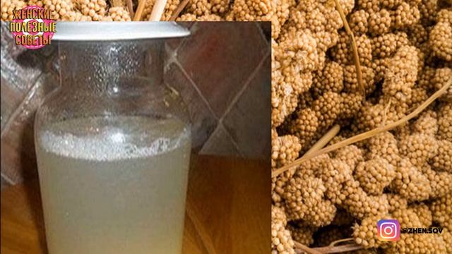 Почему врачи скрывали тот факт, что почки можно вылечить БЕЗ ХИМИИ — ПШЕНОМ! смотреть онлайн