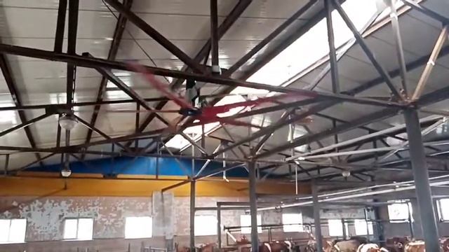 Потолочный вентилятор Kurtsan установка на молочной ферме смотреть онлайн