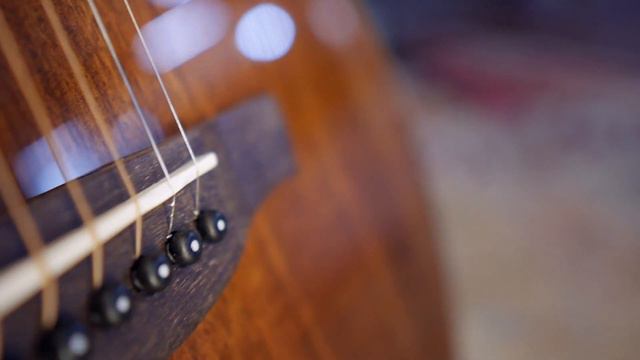 Ibanez AE245NT смотреть онлайн