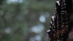 Звуки дождя и грозы.Для сна ,отдыха, изучения и медитации [Атмосфера грома и дождя]