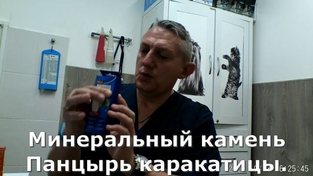 Какие препараты для птиц можно купить в ветклинике Синица Кунцево..mp4