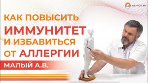 Как ПОВЫСИТЬ ИММУНИТЕТ и избавиться от АЛЛЕРГИИ | Малый А.В.