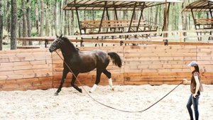 село Ямное, Воронежская область