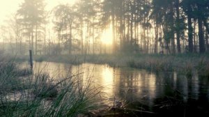 СТИХИ О ЛЮБВИ читает душевный ДУЭТ мужчина и женщина. Лирика, поэзия, о жизни и любви