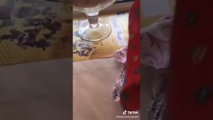 обзоры на дома Басиков из тик тока #басики
