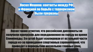 Посол Мешков: контакты между РФ и Францией по борьбе с терроризмом были прерваны