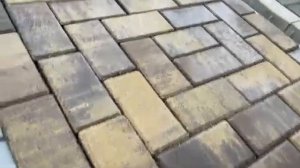 Брусчатка листопад желто-коричневый