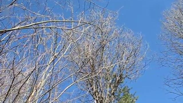 Тверской водопад, деревня ПанИка, 25 марта 2017 года. смотреть онлайн