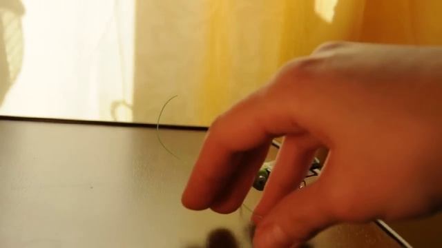 Nikon D5000 test video - Зелёный таракан смотреть онлайн