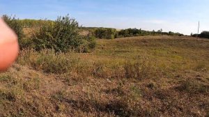 ОХОТА НА УТКУ С ПОДХОДА С СОБАКОЙ ХОРОШАЯ БЫЛА ОХОТА #hunting #рыбалка #охотассобакой