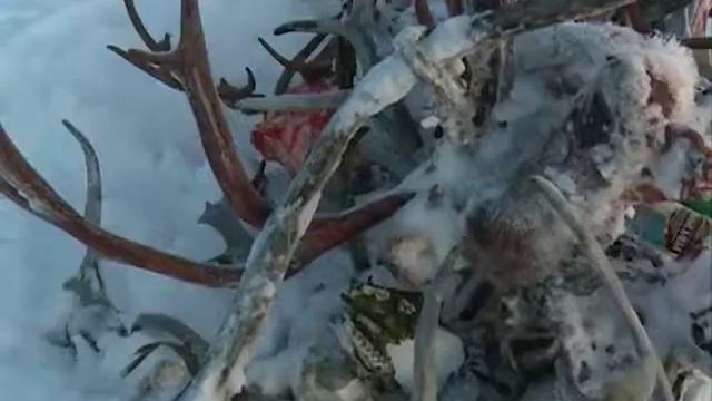 Священные места