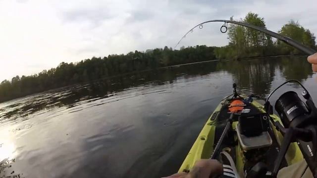 Короп в вересні. Як ловити? Де шукати? Секрети риболовлі на коропа смотреть онлайн