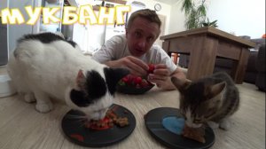 Мукбанг. Ужин в семье Коршуна.