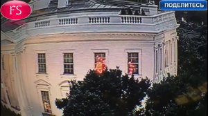 Красные вспышки в Белом доме обсуждают пользователи соцсетей