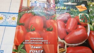 Самое время выращивать томаты на окне . ПРИСОЕДИНЯЙТЕСЬ !!!!!!!!!!!!!!!