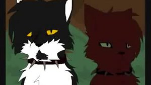 Коты-Воители Кровавое племя Monster