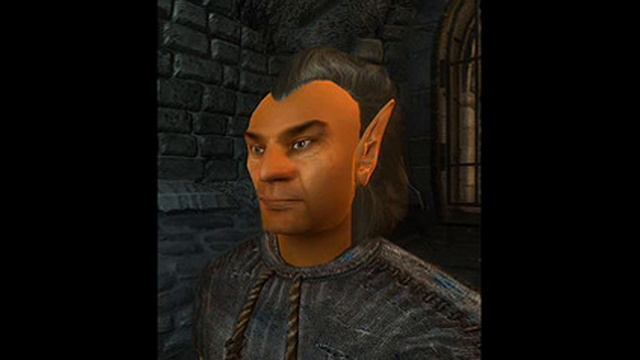 The Elder Scroll IV Oblivion Wood Elf Grunts смотреть онлайн