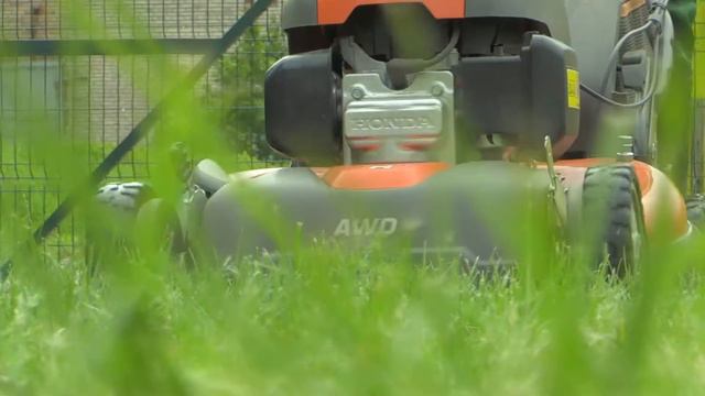 Мы тоже имеем право работать! смотреть онлайн