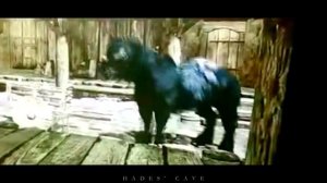 Som Skyrim Horse Bug