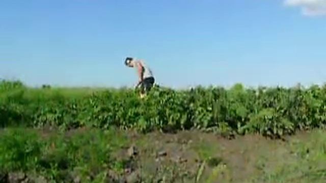 Мой огород Часть 2 смотреть онлайн