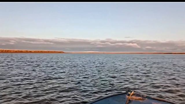 #fishing #yakutia #arctic #рыбалка #якутия #промысел #жизнь #live