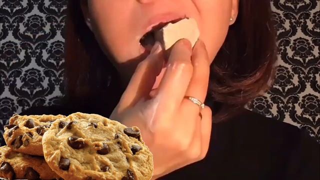 Wet crunch competition shelk melk & Ankosouth смотреть онлайн