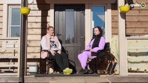 Американские булли - О породе с владелицей питомника