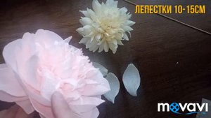 Мастер класс, пион из гофрированной бумаги.