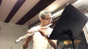 Andersen / 24 Etudes for Flute, op. 33, no. 5 (D Major)