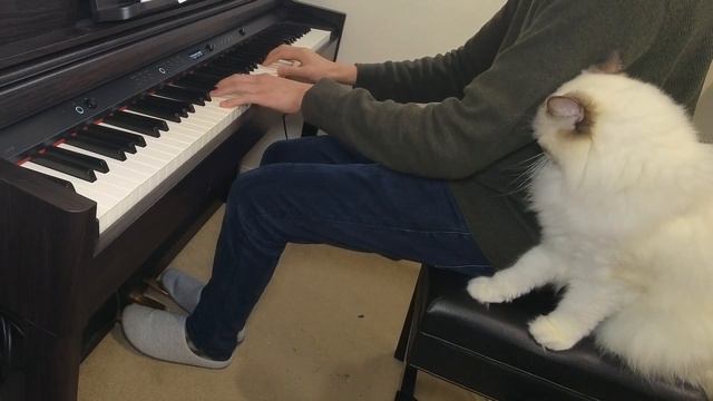 One of the most peaceful video game BGM: Peaceful Sleep from NeiR: Automata! - Keiichi Okabe смотреть онлайн