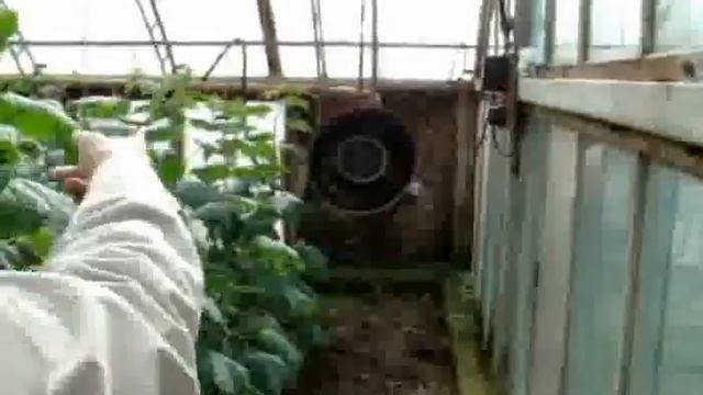 Каталитический воздухонагреватель в теплице