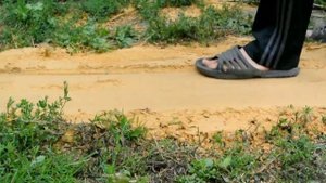 виброплита