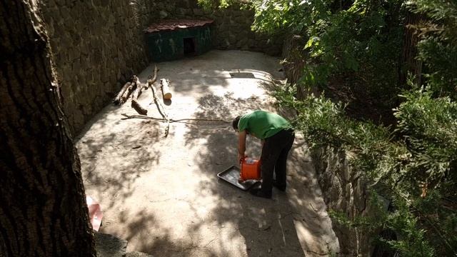 ВЛОГ. ЗООПАРК СКАЗКА ЯЛТА 2023 смотреть онлайн