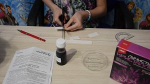 Лучистые кристаллы Лори. Выращиваем кристаллы дома!