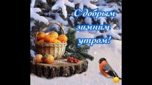 С добрым утром с новым днем! Пусть лишь радость будет в нем!