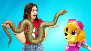 Игрушки Щенячий Патруль поздравляют Райдера с Днем рождения! Но он исчез! Зоомагазин: ищем игрушки!