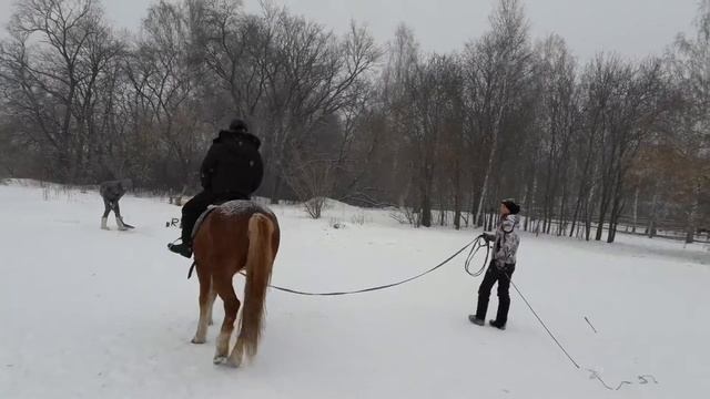 Работа с лошадью на корде смотреть онлайн