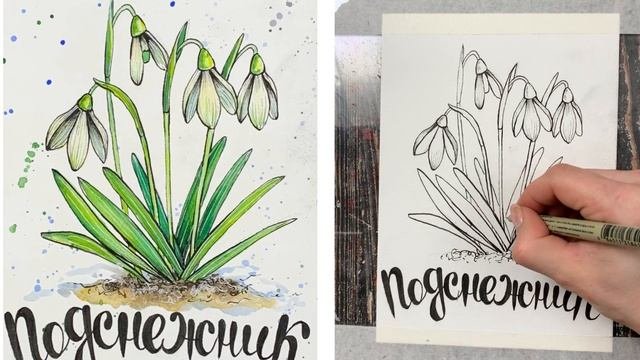 как нарисовать подснежники