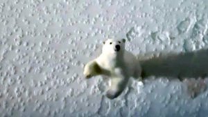 Огромный белый медведь подошел вплотную  к российскому атомоходу «Арктика»