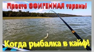 Просто ОФИГЕННАЯ тарань. Рыбалка на Ейском лимане. Когда рыбалка в кайф! Fishing is a thrill! Ейск.