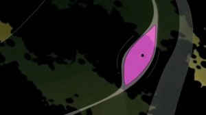 Every Ben 10 Classic Transformation | Ben 10 Classic All Alien Transformation