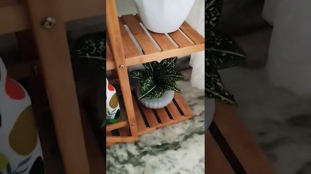 Wooden plant stand from flipkart