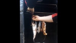 Копчение салаки