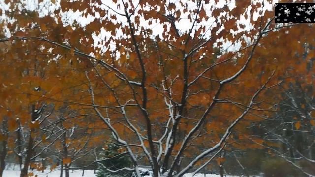 Первый снег в Москве смотреть онлайн