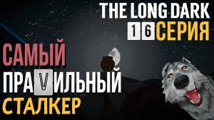 САМЫЙ ПРАVИЛЬНЫЙ СТАЛКЕР✮THE LONG DARK✮16 СЕРИЯ