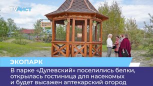 В парке «Дулевский» поселились белки, гостиница для насекомых и будет высажен аптекарский огород