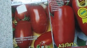 ЛУЧШИЕ СОРТА ТОМАТОВ ДЛЯ КОНСЕРВИРОВАНИЯ  Видеоурок от Ольги Черновой начинающим садоводам и огород