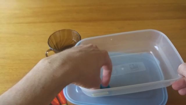 Выращивание паприки. Рассада. Проращиваем семена.